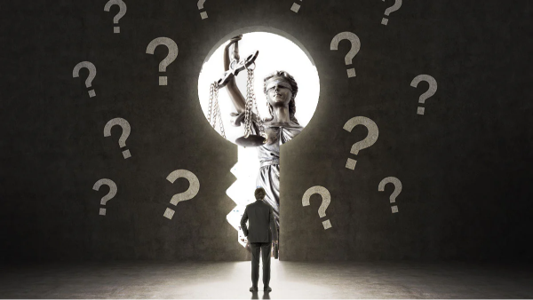 Bridge to a Successful Legal Profession