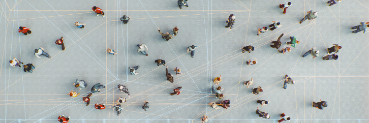 Legal Consultants and the rise of ALSPs