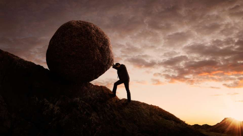 Resilience and Opportunity